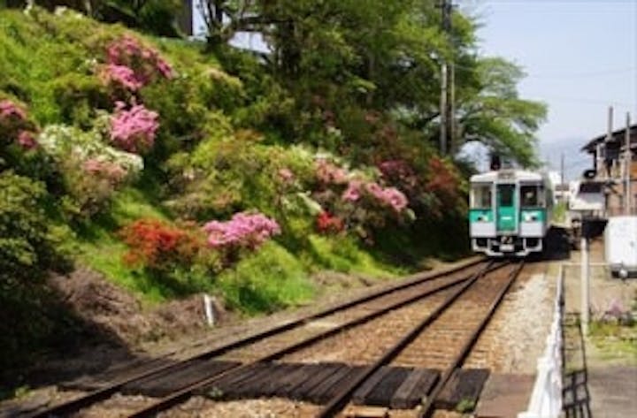 穴吹駅のさつき