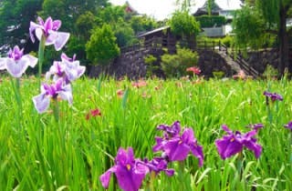 スポットの写真