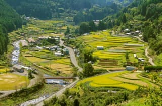 スポットの写真