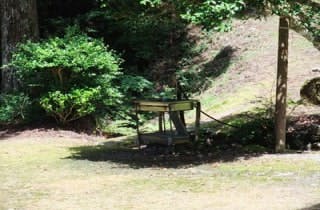 スポットの写真