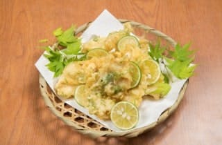 スポットの写真