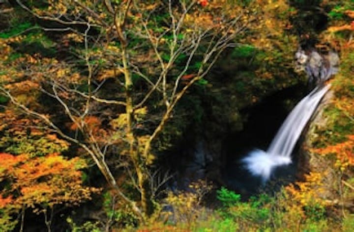 大釜の滝周辺の紅葉