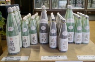 スポットの写真