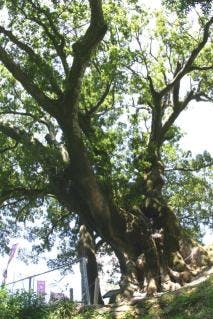 スポットの写真