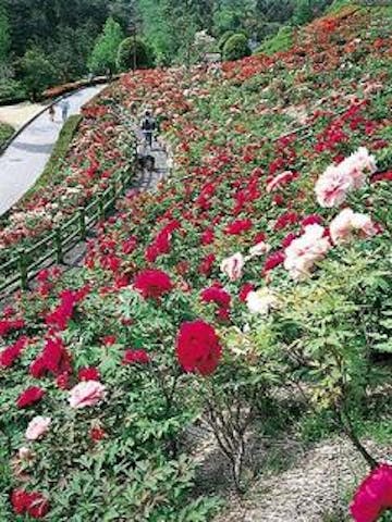 市民の森・フラワーパーク