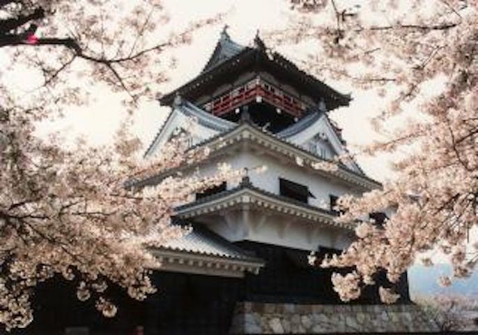 【2021中止】城山公園桜まつり