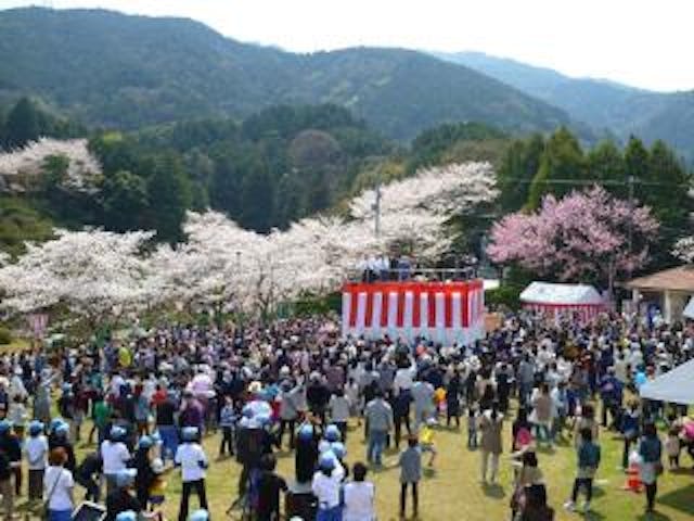 【2021中止】三島公園桜まつり