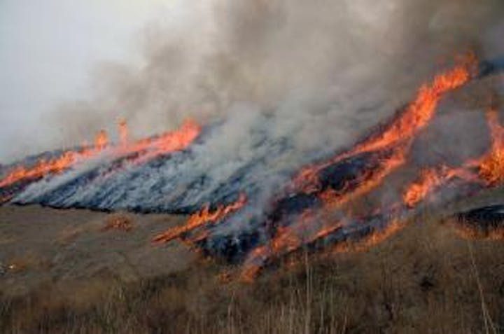 【2021中止】塩塚高原 山焼き