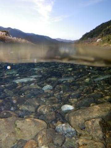 すさき野外博物館