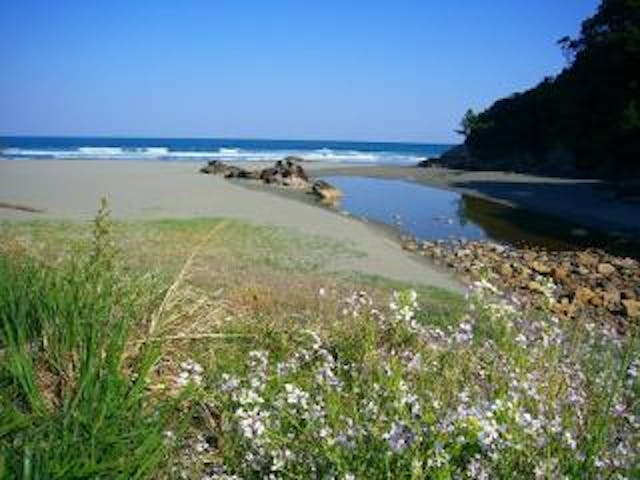 双海サーフビーチ