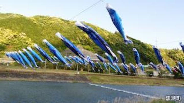 【2021年開催中止】カツオと鯉のぼりの川渡し