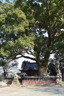 トヨタレンタリース福岡 八女店【アソビュー！】