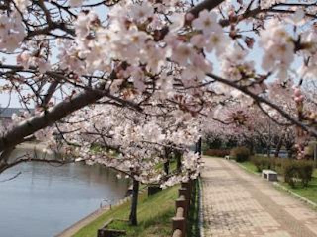 井原堤水辺公園