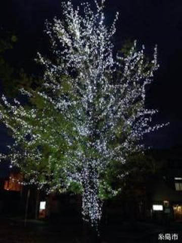 丸田池公園　イルミネーション