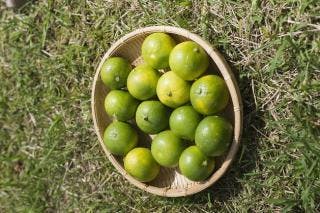 スポットの写真