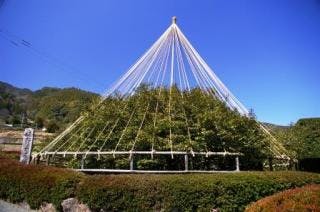 スポットの写真