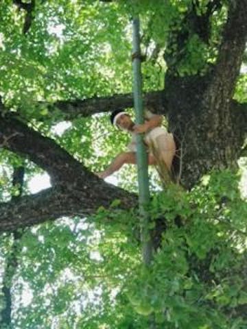綾部神社旗下ろし神事・奉納相撲