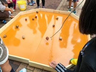 スポットの写真