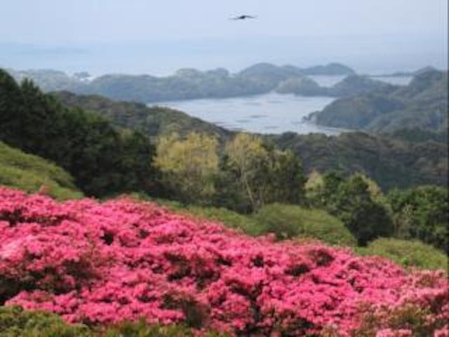 冷水岳春まつり