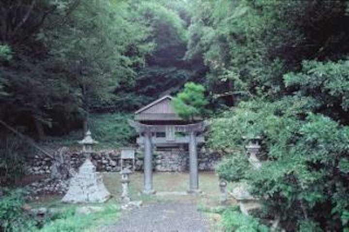 大山祇神社社叢