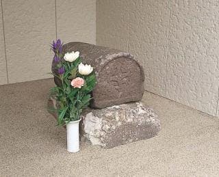 スポットの写真