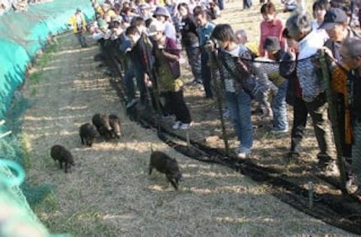 【2021年開催未定】木場棚田だんだんまつり