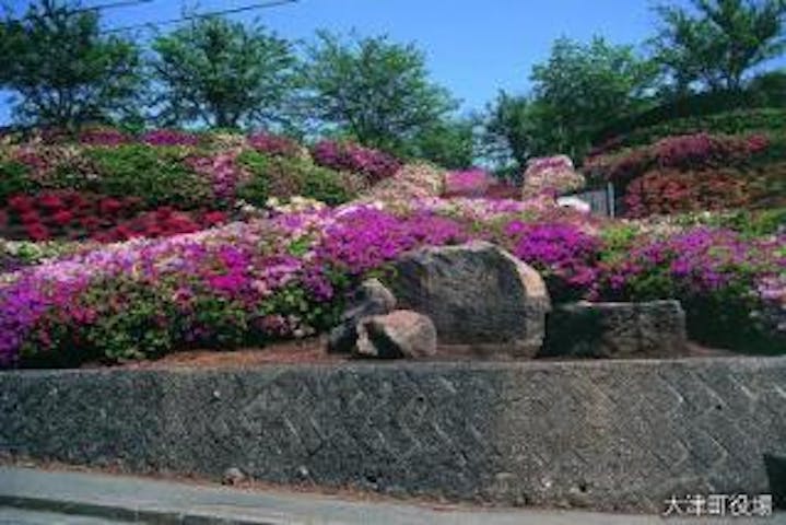 【2021年開催中止】大津つつじ祭