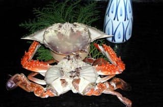 スポットの写真