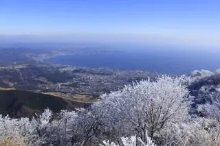 鶴見岳の霧氷【アソビュー！】