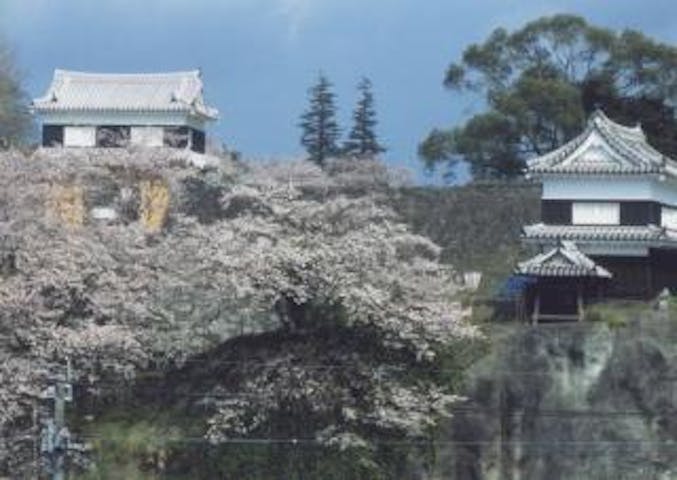 臼杵城跡（臼杵公園）