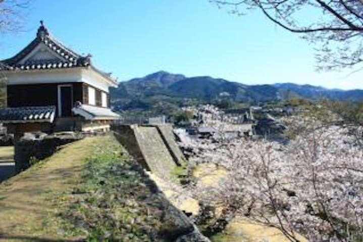 臼杵城址桜まつり アソビュー