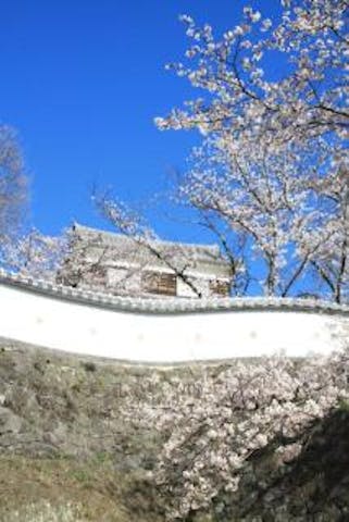 臼杵城址桜まつり アソビュー 臼杵城址桜まつり アソビュー
