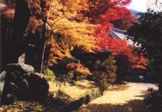 スポットの写真