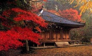 スポットの写真