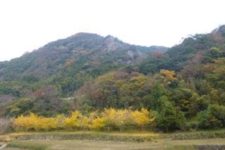 スポットの写真