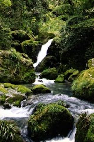 清水瀑園滝開き