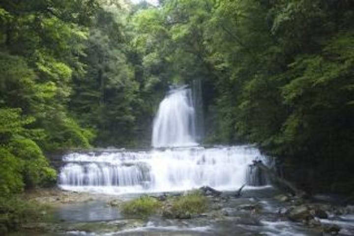 森林セラピー体験