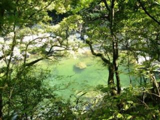 森林セラピー川中自然公園コース