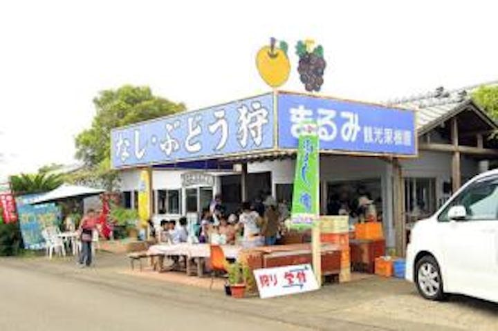 都農まるみ観光果樹園