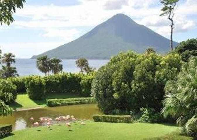 長崎鼻パーキングガーデン