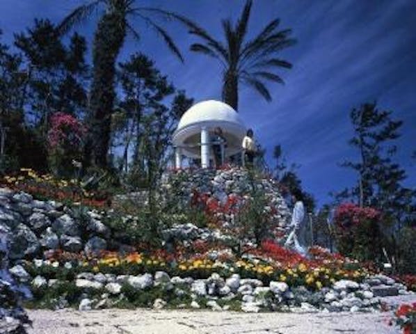 フラワーパークかごしま