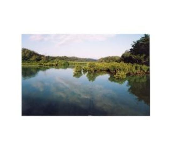 東村ふれあいヒルギ公園 アソビュー 東村ふれあいヒルギ公園 アソビュー