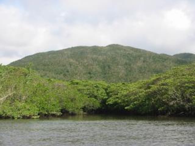 仲間川天然保護区域