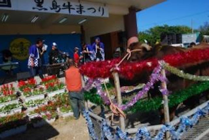 【2021年中止】第29回黒島牛まつり