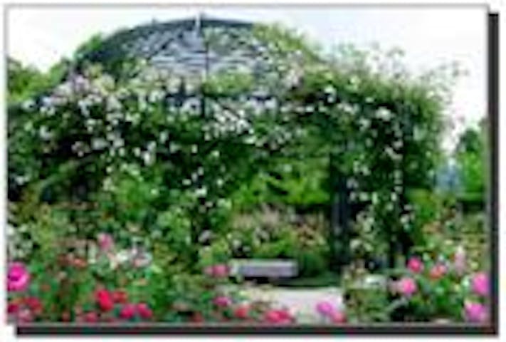 えこりん村・銀河庭園