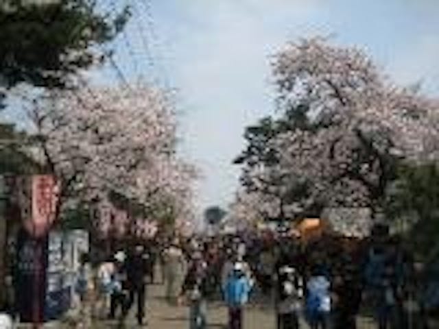 【2021年中止】青森春まつり