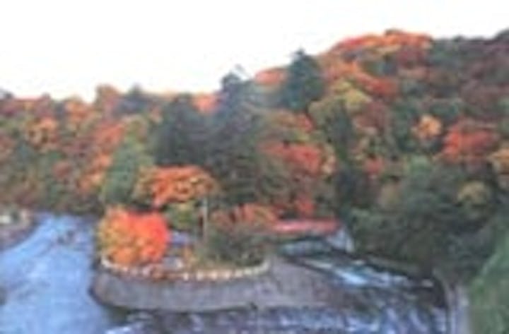中野もみじ山の紅葉