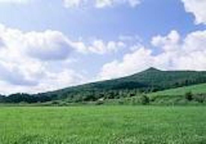 区界高原ハイキングコース