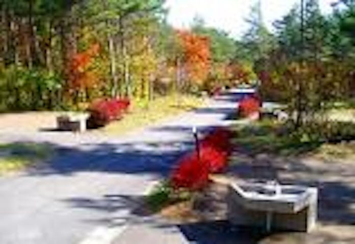 焼走りキャンプ場