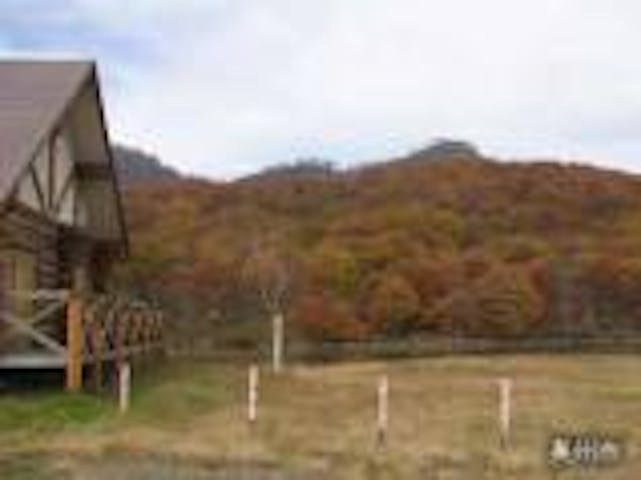 つぶ沼キャンプ場